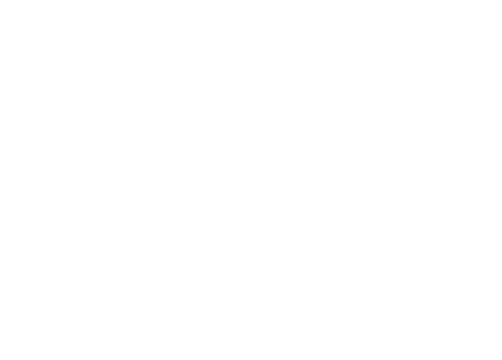 Vujin Personal Driver Service