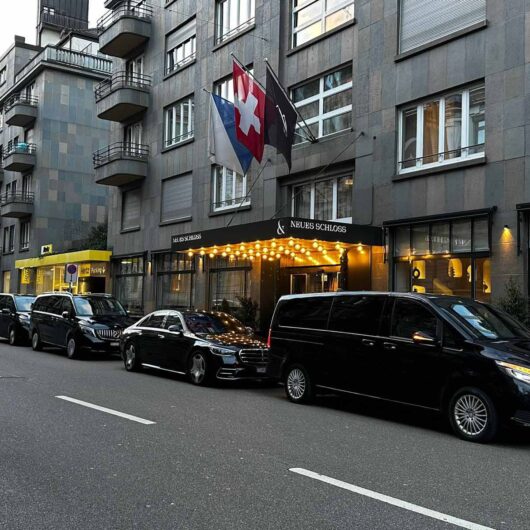 vip service vujin davos luxury transport 2